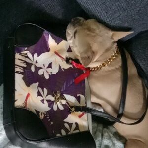 Hue and Ash Tote Bag